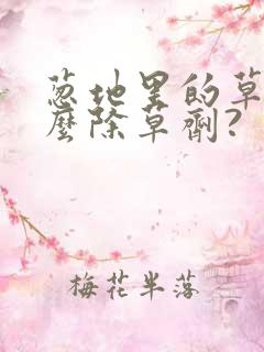 葱地里的草用什么除草剂?