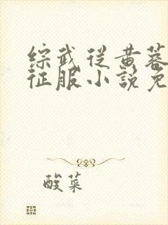 综武从黄蓉开始征服小说免费阅读 综武从黄蓉开始征服小说免费阅读