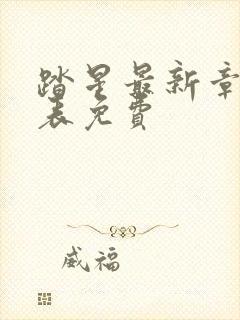 踏星最新章节列表免费