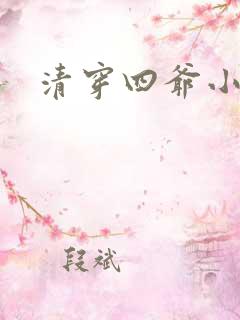 清穿四爷小说