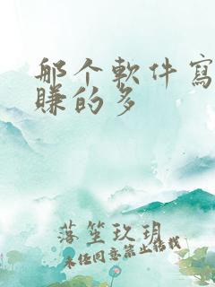 那个软件写小说赚的多