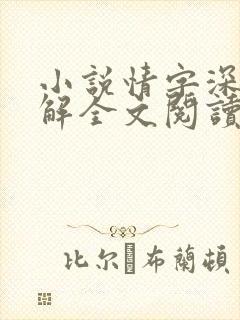 小说情字深浅无解全文阅读