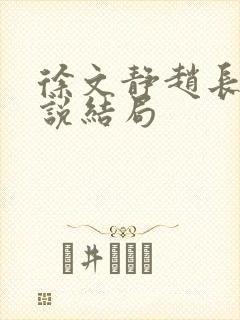 徐文静赵长青小说结局