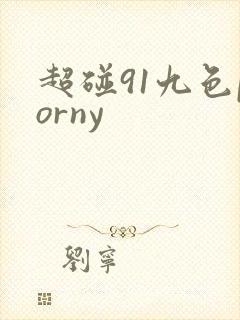 超碰91九色porny