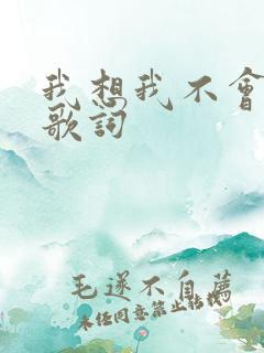 我想我不会爱你歌词