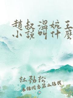 赵叔温婉王磊的小说叫什么