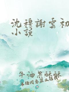 沈穆谢云初岑念小说
