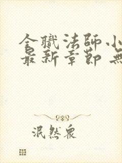 全职法师小说 最新章节 无弹窗