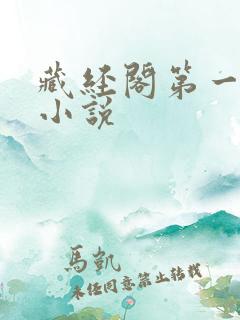 藏经阁第一版主小说