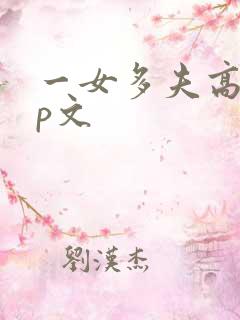 一女多夫高辣np文