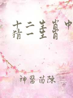 十二生肖中一个猜一生肖