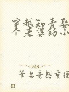 穿越知青娶了三个老婆的小说 穿越知青娶了三个老婆的小说