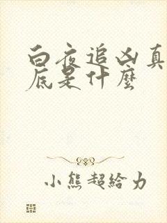 白夜追凶真相到底是什么