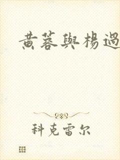黄蓉与杨过小说