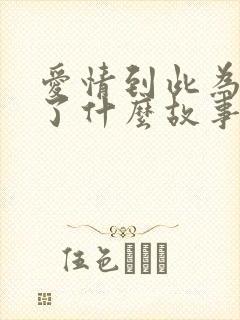 爱情到此为止讲了什么故事