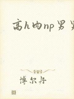 高h肉np男男 高h肉np男男