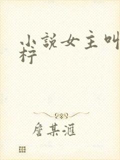 小说女主叫夏青柠