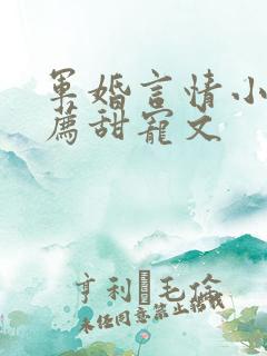 军婚言情小说推荐甜宠文
