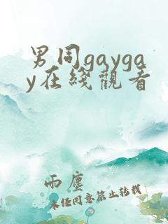 男同gaygay在线观看