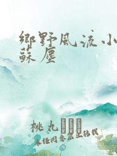 乡野风流小村医苏尘