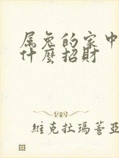 属兔的家中摆放什么招财
