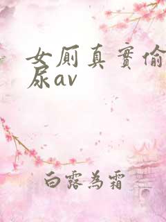 女厕真实偷拍撒尿av