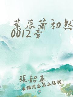 叶辰萧初然100012章