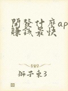 开发什么app赚钱最快