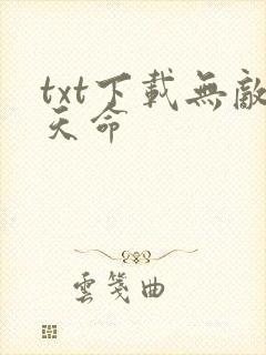 txt下载无敌天命
