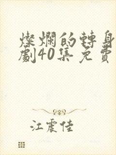 灿烂的转身电视剧40集免费观看