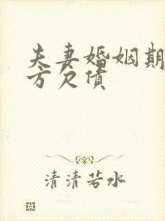 夫妻婚姻期间一方欠债