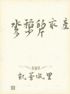 水稻的亩产量是多少斤