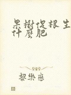 果树促根生根施什么肥