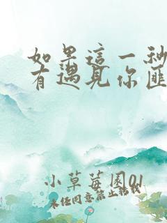 如果这一秒我没有遇见你匪我思存