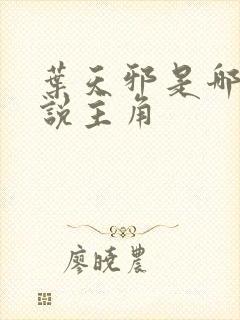 叶天邪是哪部小说主角