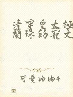 清穿皇太极和海兰珠的宠文