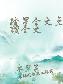踏星全文免费阅读全文