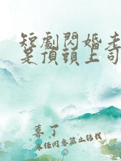 短剧闪婚老公竟是顶头上司免费