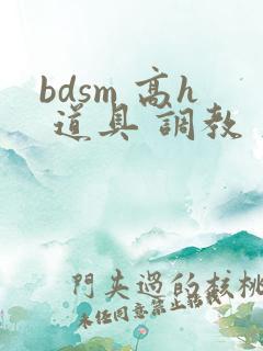 bdsm 高h 道具 调教 文