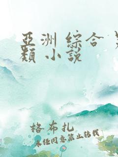 亚洲 综合 另类 小说