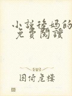 小说后妈的春天 免费阅读