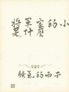 将军家的小娘子是什么