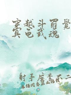 穿越斗罗觉醒玄冥龟武魂