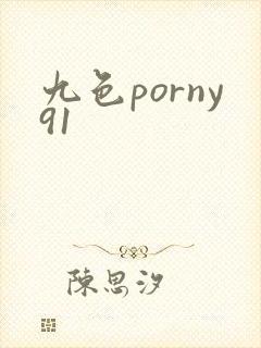 九色porny91