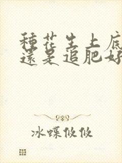 种花生上底肥好还是追肥好