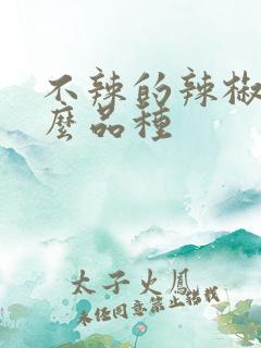 不辣的辣椒叫什么品种