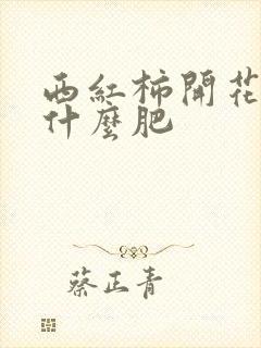 西红柿开花期施什么肥 西红柿开花期施什么肥