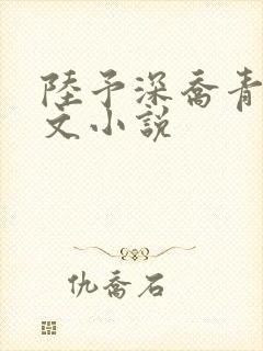 陆予深乔青穗全文小说