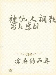 被仇人调教成禁脔h虐bl