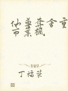 仙尊夺舍重生都市叶枫